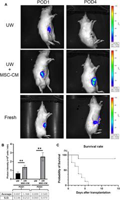 Improved Preservation of Rat Small Intestine Transplantation Graft by Introduction of Mesenchymal Stem Cell-Secreted Fractions